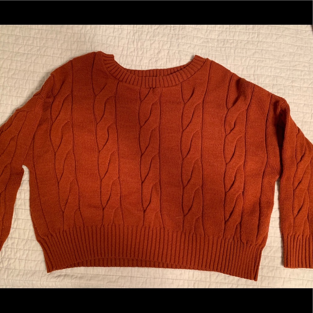 Dark red Express sweater